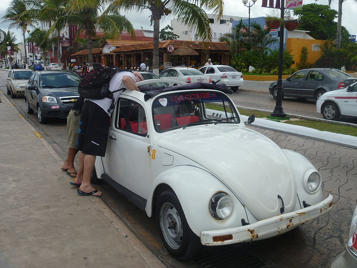 auto, vw, beetle, vw beetle, oldtimer, dare, vehicle