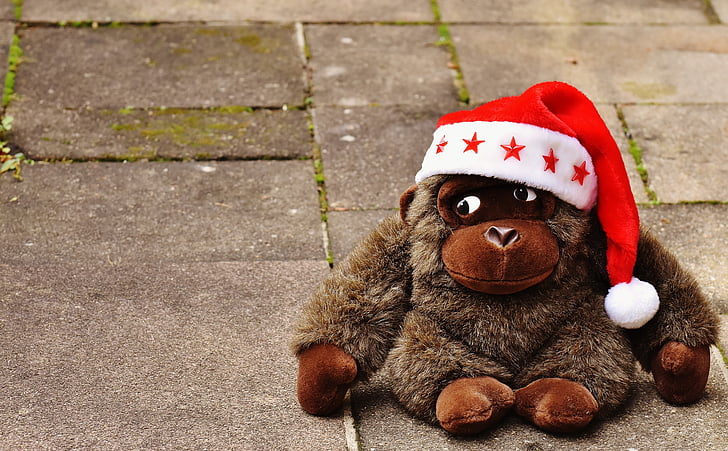 christmas, santa hat, stuffed animal, soft toy, monkey, gorilla, gift