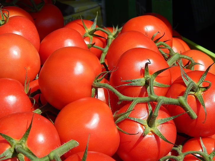 tomaatit, vihannekset, tomaatti, vihreä, tuore, terve, ateria