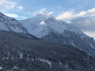 Thuỵ Sỹ, Alpine, Graubünden, dãy núi, tuyết rơi, đỉnh cao, rừng