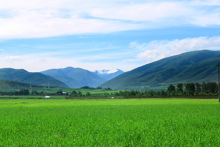 udsigt, sommer, blå himmel, Alpine, sichuan-tibet, Tibet, åbne land