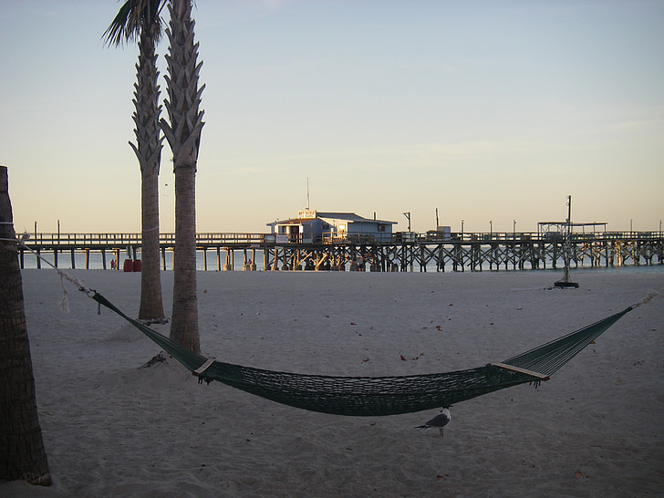 cama de rede, praia, Florida, Costa do Golfo, cais, palmeiras, Palm