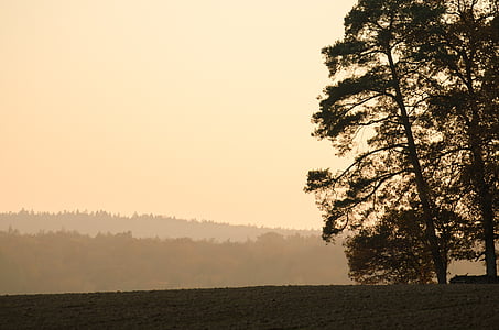 Осень, Бавария, Нижняя Франкония, пейзаж, Панорама, небо, дерево