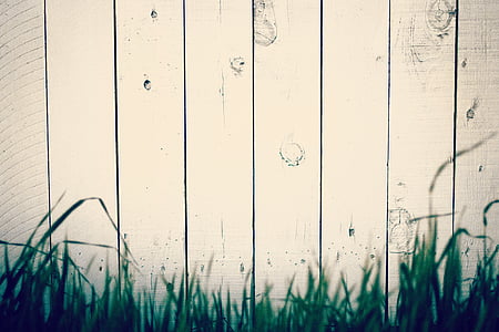 wooden, wall, fence, green, grass, outside, no people