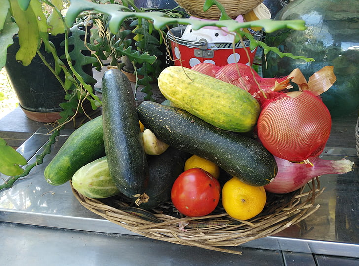 agurkai, pomidorų, cukinija, sveikas, daržovės, vietos, Bio