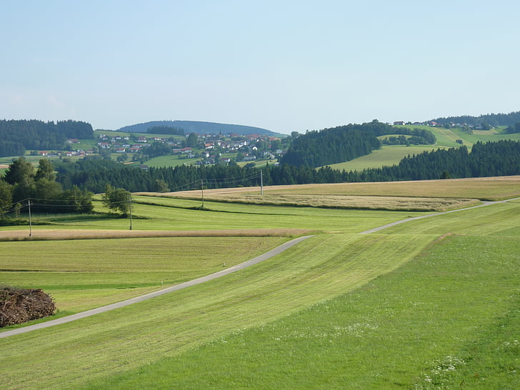 landscape, meadow, nature, golf, grass, sport, green Color