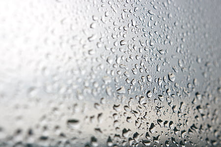 l'aigua, gota, vidre, pluja, fresc, fons, gris