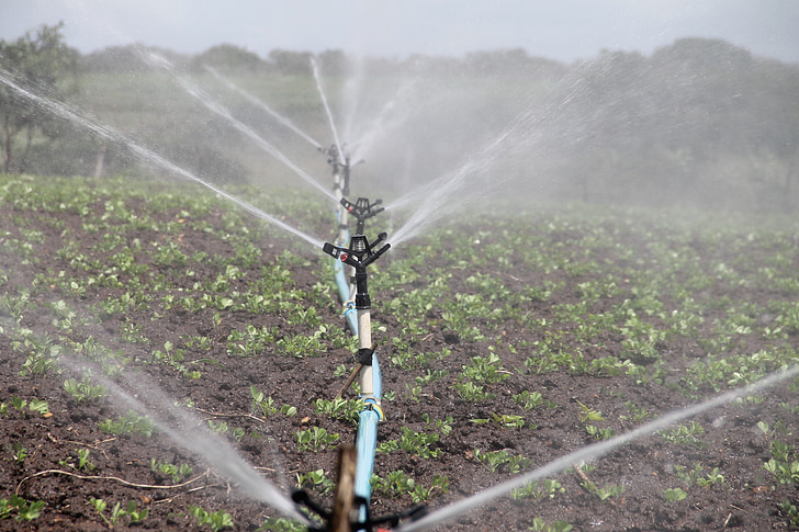 irrigation, Agriculture, d’arrosage, arachide, eau, Itabaiana, Sergipe