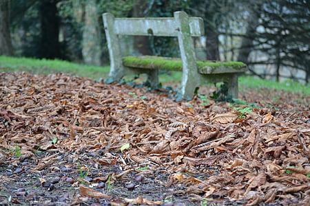 Jesenski list, jesen, lišće, tepih od lišća, Jesenski krajolik, lišće, mrtva lista