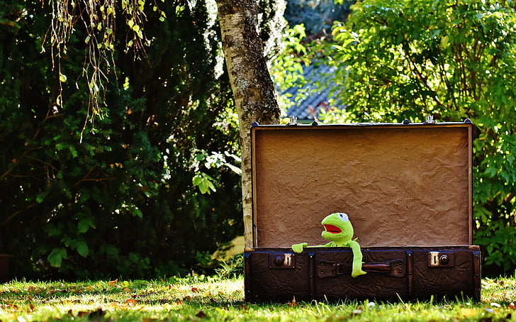 Kermit, Atsisveikinimas, mielas, vaikai, juokingas, mielas, bagažo