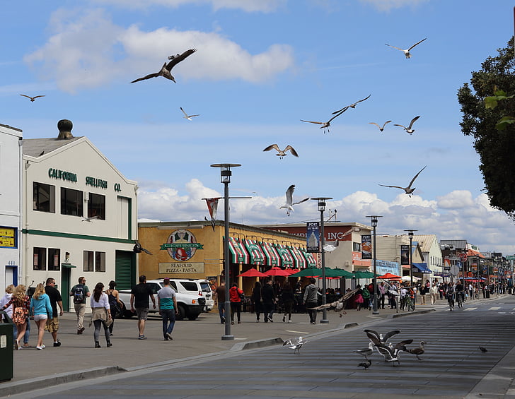 Monterey, Kalifornia, Prímorská krajina, cestovný ruch, Promenade, chôdze, morské pobrežie