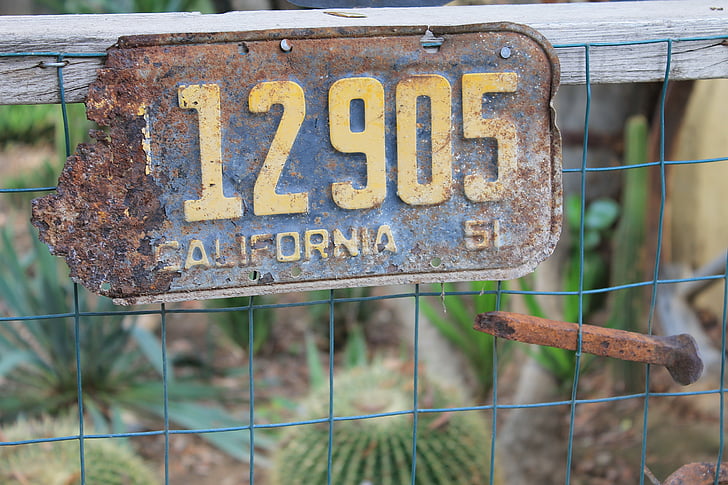 license plate, cactus, rustic, black, yellow, country, rural