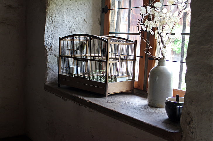 bird cage, cage, window sill, bird, imprisoned, nostalgia, mood