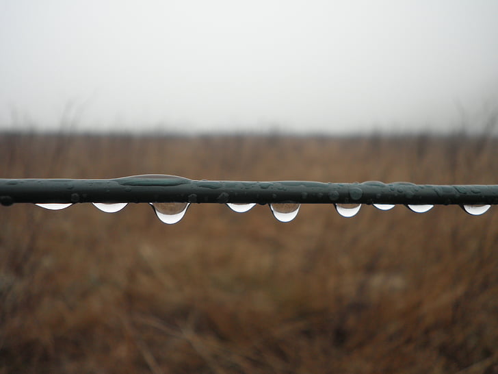 raindrop, series, wire, close, drop of water, metal, barbed Wire
