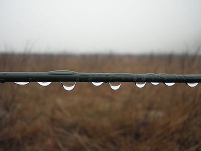 дъждовна капка, серия, Тел, затвори, капка вода, метал, бодлива тел