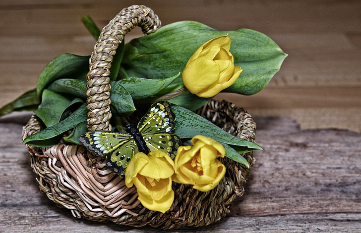 flowers, flower basket, tulips, yellow flowers, yellow, spring, butterfly