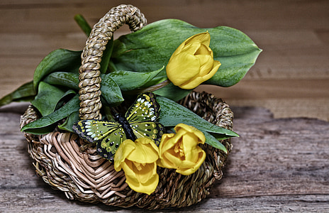 flores, cesta de flores, tulipanes, flores amarillas, amarillo, primavera, mariposa