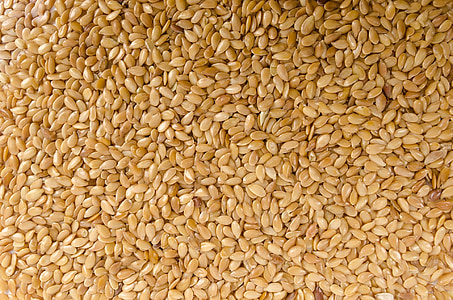 Close-up, gandum, tidak ada, alam, rempah-rempah, putih, organik