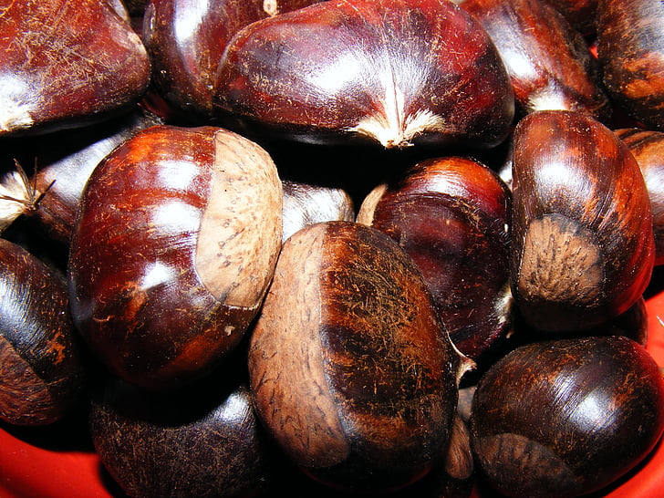 Castanea, kastanj, Fagaceae, frukt, sativa, Söt