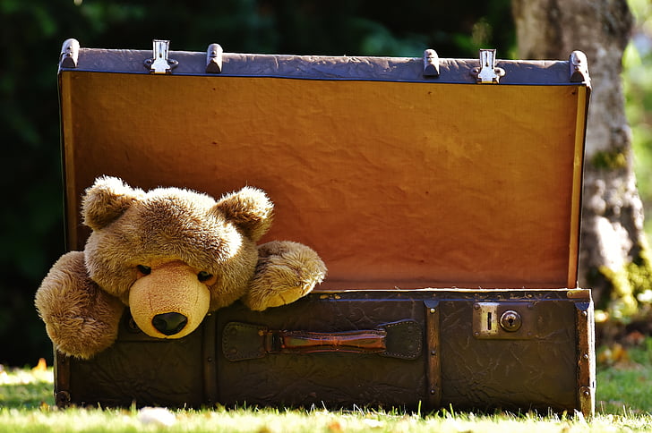 luggage, antique, teddy, soft toy, stuffed animal, toys, funny
