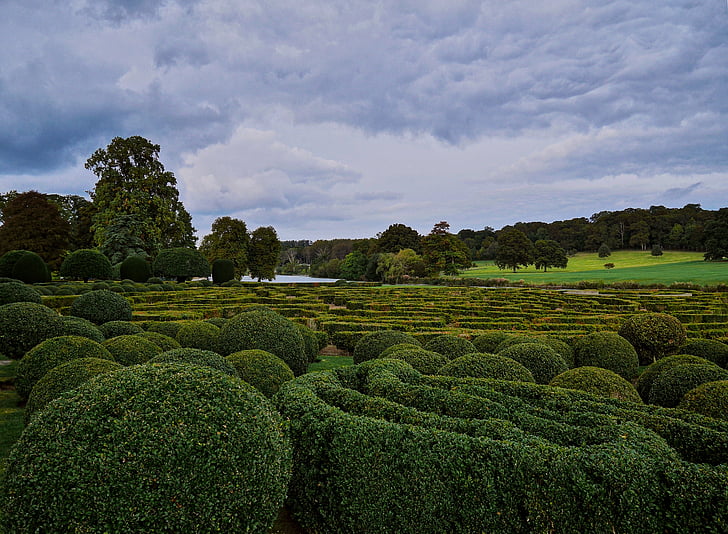 Inglês, britânico, país, jardim, labirinto, Hedges, paisagem