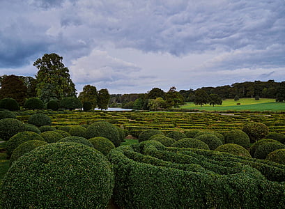 Englisch, britische, Land, Garten, Labyrinth, Hecken, Landschaft