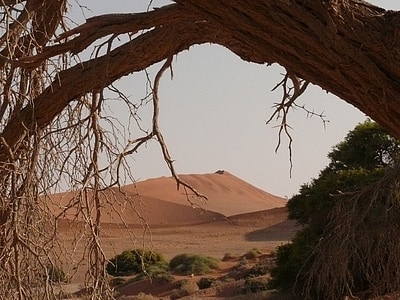 ørkenen, Sahara, Namibia, tørke, soussosvlei, sand, Dune