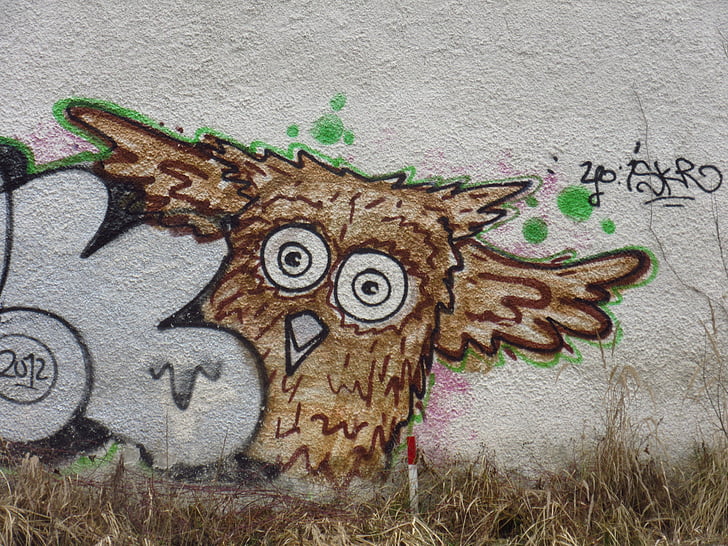 uil, vogel, graffiti, dier, straatkunst, geschilderd