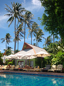 palm trees, pool, water, swimming pool, hotel, swim, holiday