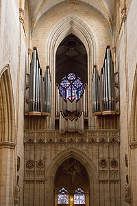 Ulm, Ulms katedral, Münster, orgel
