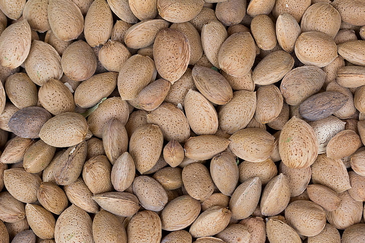 almond, fruit, shell, cultivation, maturation, agriculture, ingredient