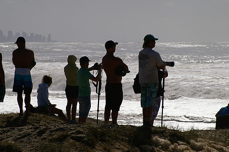 persone, fotografi, silhouettes, Costa, mare, oceano, telecamere