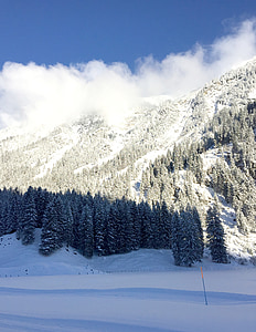 kalni, koki, Panorama, sniega ainavas, Alpu, pārgājiens, ainava