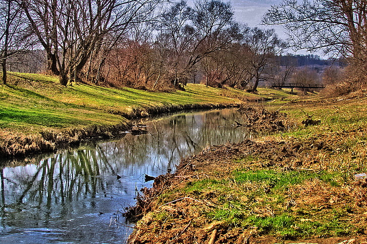 Bach, Creek, krajina, tekoucí voda, Příroda, HDR, strom