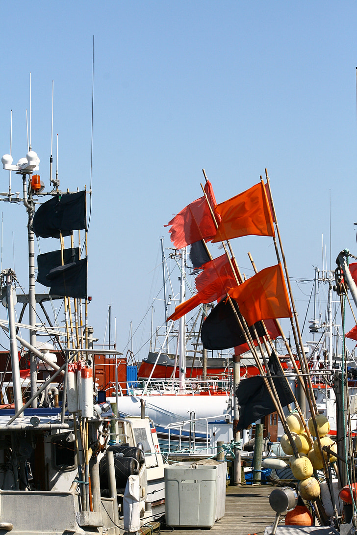 perahu nelayan, industri perikanan, pelampung, bendera, suasana pelabuhan
