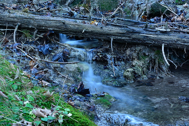 Natura, Bach, wody, lasu, Creek, bieżącej wody, szmer