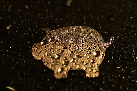 suerte, cerdo, artificial, suerte cerdo, Amuleto de la, agua, símbolo de buena suerte