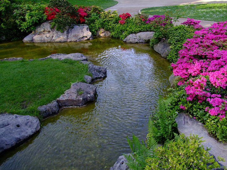 landscape, japanese garden, ornamental garden, düsseldorf, north park, park, flowers
