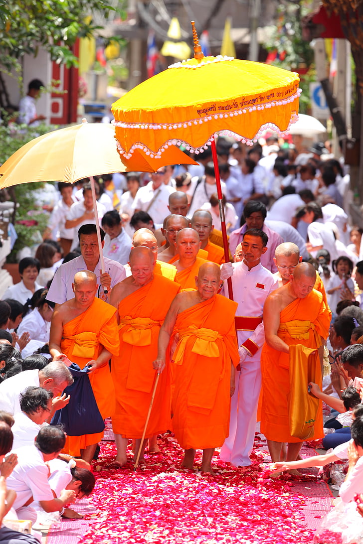 augstākā patriarhs, budisti, patriarhs, priesteri, Monks, oranža, mantijā