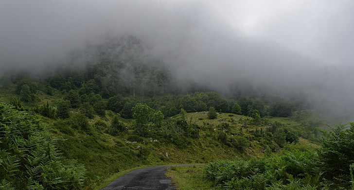 bergen, dimma, humör, landskap, naturen, sökväg