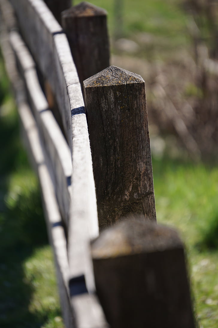 fence, pillar, wood, away, demarcation, nature, web