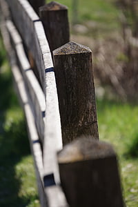 plot, piliera, drevo, vzdialenosť, vymedzenie, Príroda, Web