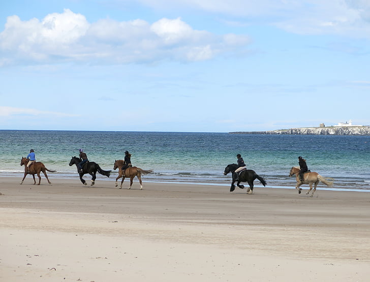 at, At Binme, plaj, Northumberland, İngiltere, binmek, at sırtında