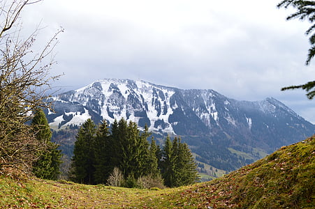 Allgäu, планини, озеленен, сняг