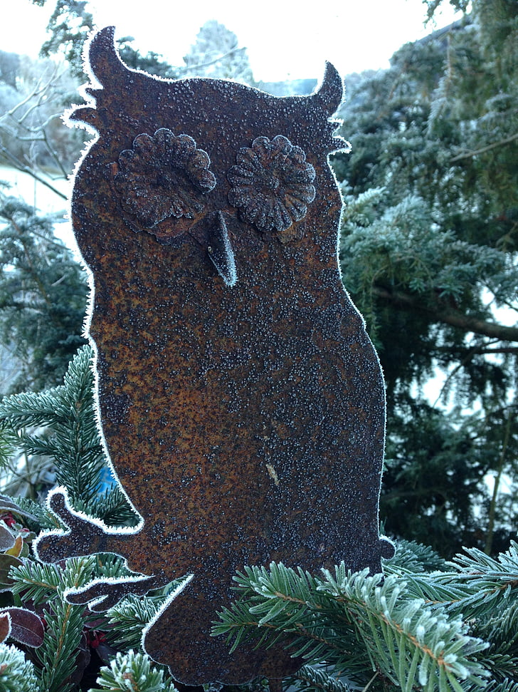 owl, stainless, frozen, eiskristalle, winter, cold, iced