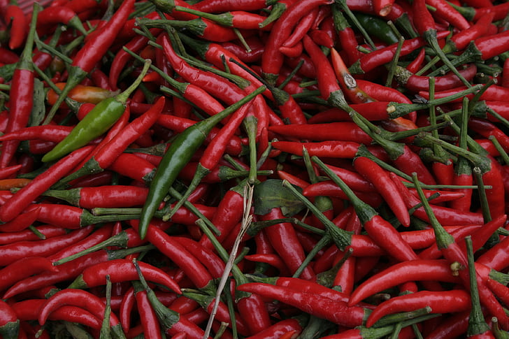 Chili, hüvely, piac, éles, chili paprika, fűszer, piros