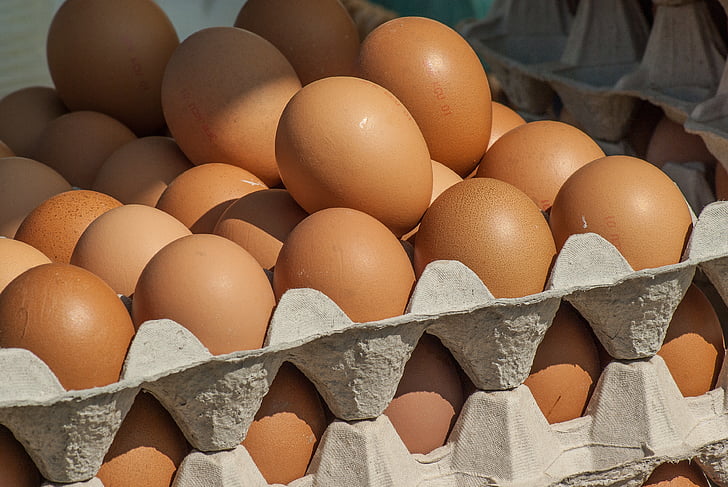 trhu, sliepky, vajcia, jedlo, zviera vajcia, hnedá, organické
