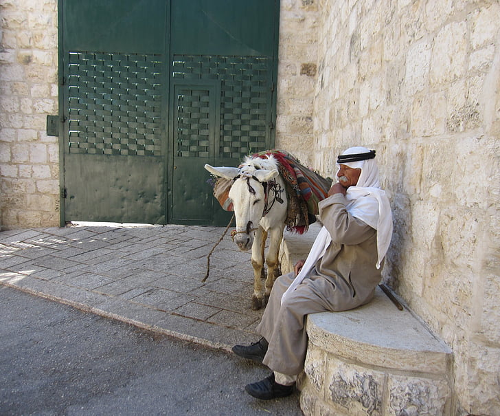 bedouin, man, human, person, israel, donkey, break
