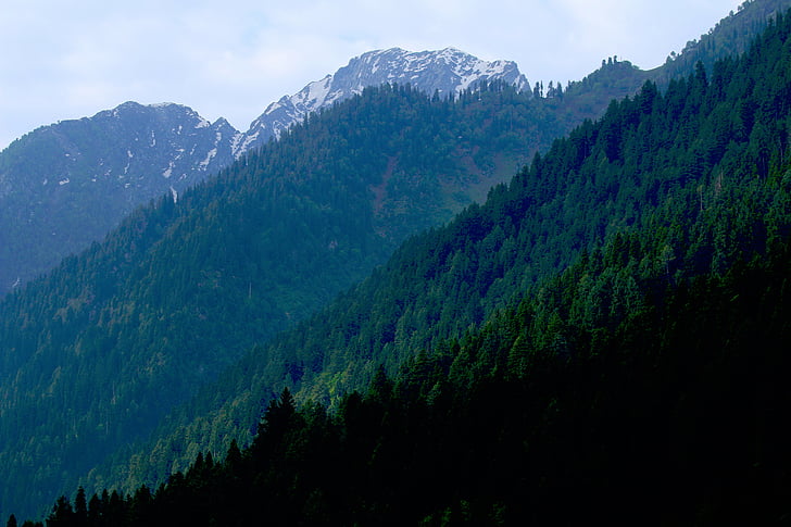 nature, montagnes, arbres, neige, Alpes, montagne, Forest
