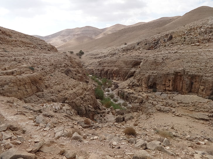 Desert, Wadi, Rock, suché, kamene
